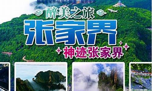 张家界旅行社排名_张家界旅行社排名前10