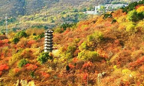北京西山森林公园多高_北京西山森林公园多高 海拔多少
