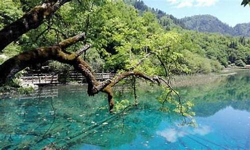 8月旅游最佳地排行_8月旅游最佳地排行知乎